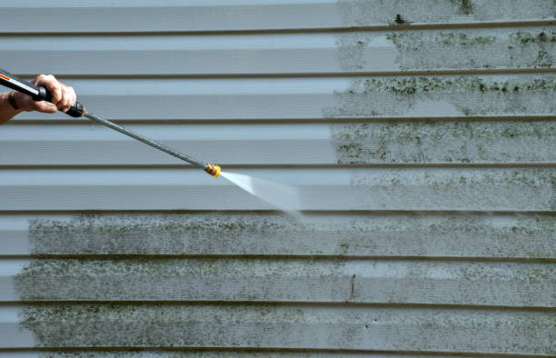 Best Office Mold Removal Services  in Syracuse, KS