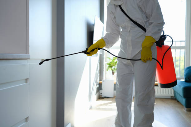 Syracuse, KS Mold Removal Company
