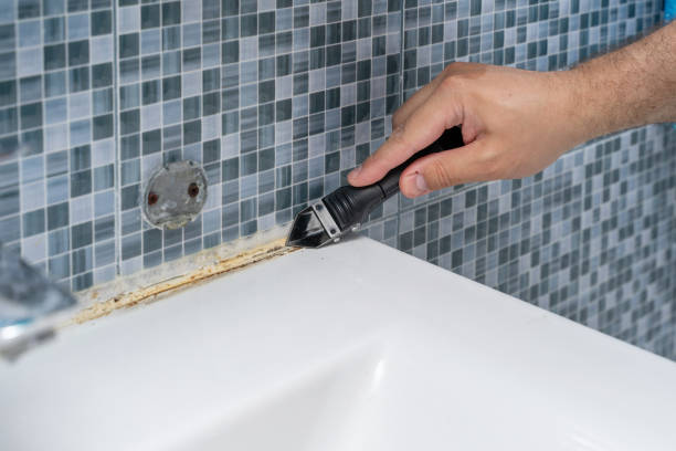 Best Emergency Mold Removal  in Syracuse, KS